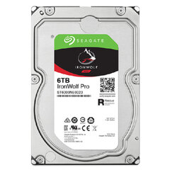 Seagate ST6000NT001 3,5" 6 TB цена и информация | Внутренние жёсткие диски (HDD, SSD, Hybrid) | kaup24.ee