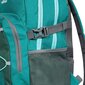 Meeste matkaseljakott Trespass UUACBAC10004 - ALBUS - CASUAL BACKPACK UUACBAC10004-OGR.EACH hind ja info | Matkakotid ja reisikotid | kaup24.ee