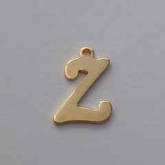 Roostevabast terasest 304 ripatstäht "Z" 15x14 mm. 1 tk. цена и информация | Украшения на шею | kaup24.ee