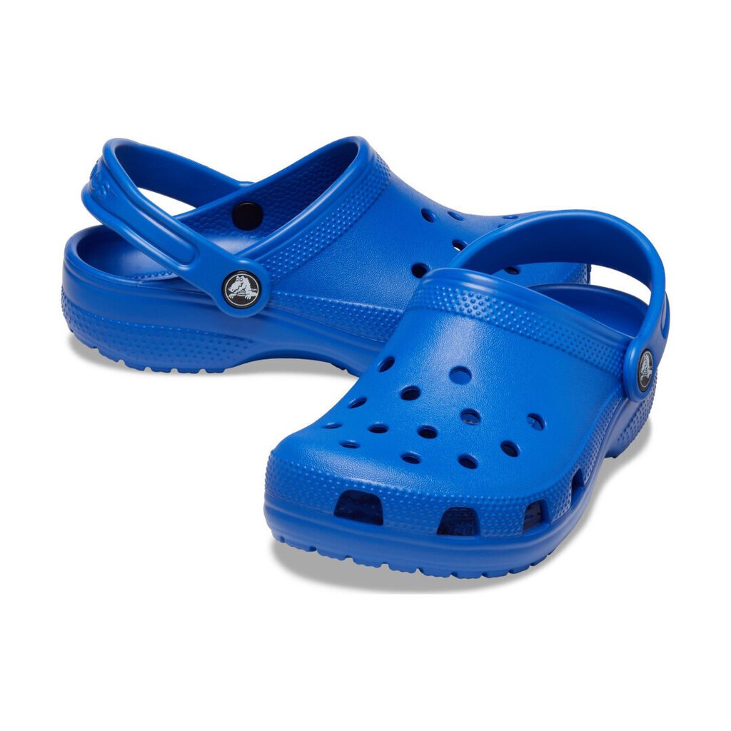 Crocs™ Classic Clog Kid's 200638 цена и информация | Laste kummijalatsid | kaup24.ee