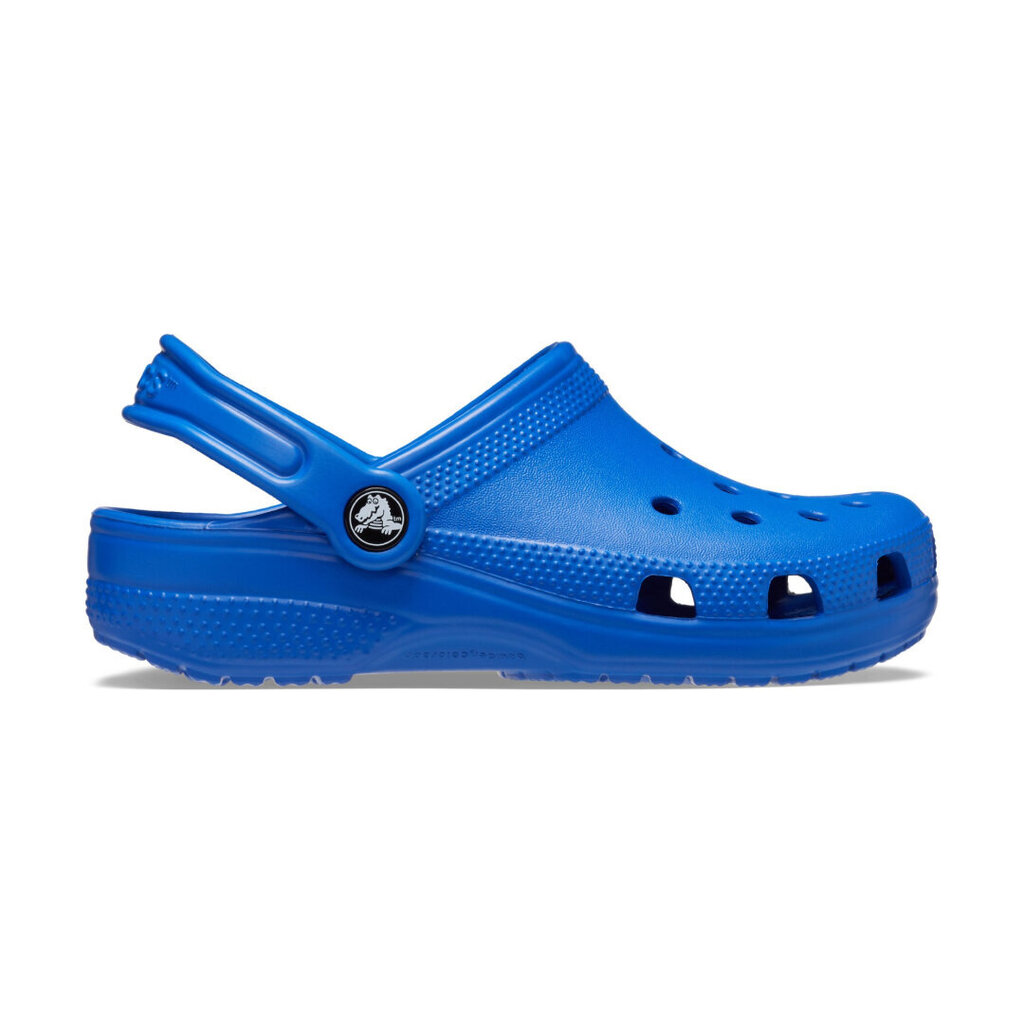 Crocs™ Classic Clog Kid's 200638 цена и информация | Laste kummijalatsid | kaup24.ee