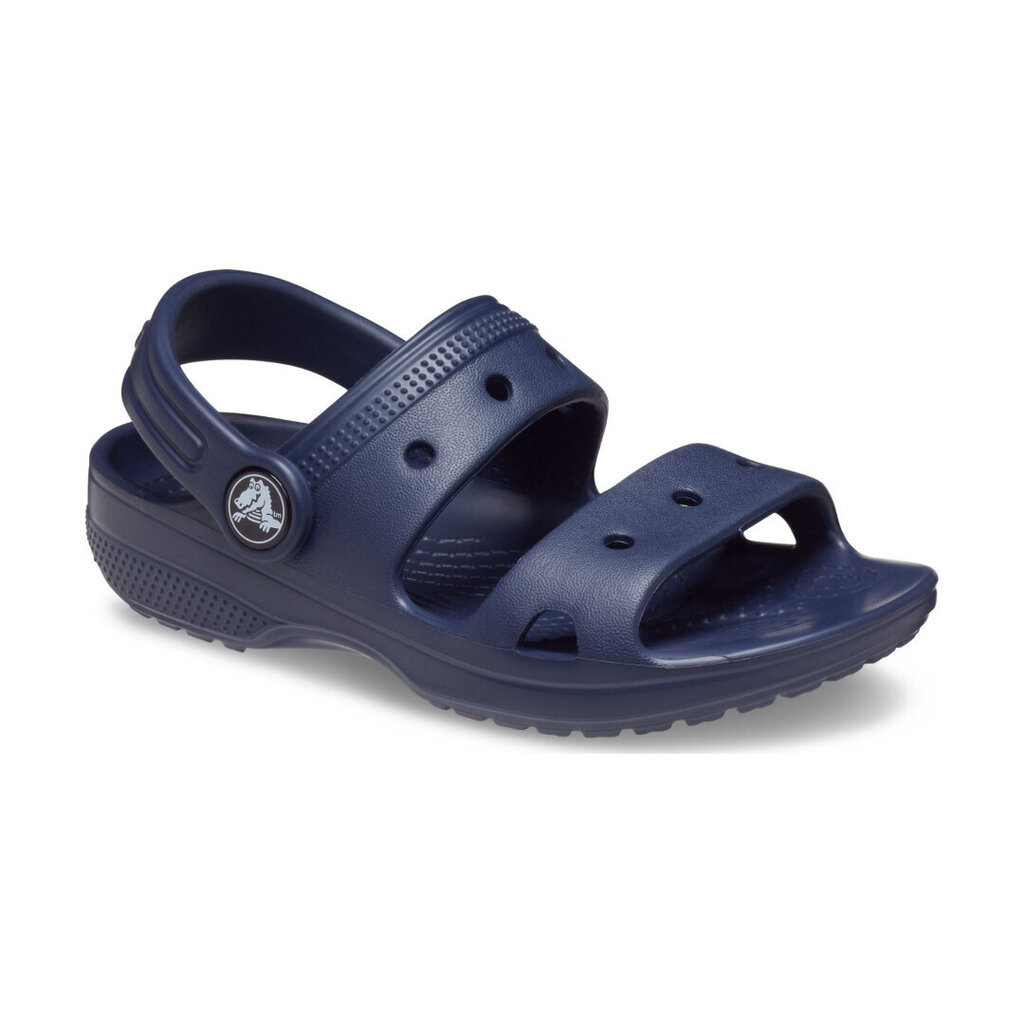 Crocs™ Classic Sandal Kid's 207537 167046 цена и информация | Laste sandaalid | kaup24.ee