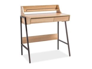 Письменный стол B-168, коричневый цена и информация | Компьютерные, письменные столы | kaup24.ee