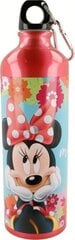 Joogipudel Disney, 750 ml hind ja info | Joogipudelid | kaup24.ee
