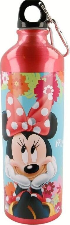 Joogipudel Disney, 750 ml цена и информация | Joogipudelid | kaup24.ee