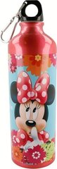 Joogipudel Disney, 750 ml цена и информация | Фляги для воды | kaup24.ee