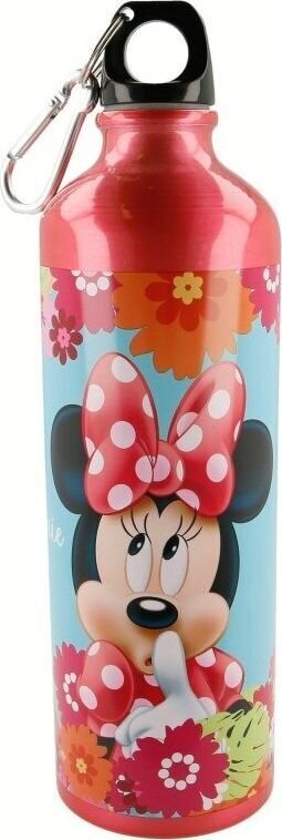 Joogipudel Disney, 750 ml цена и информация | Joogipudelid | kaup24.ee