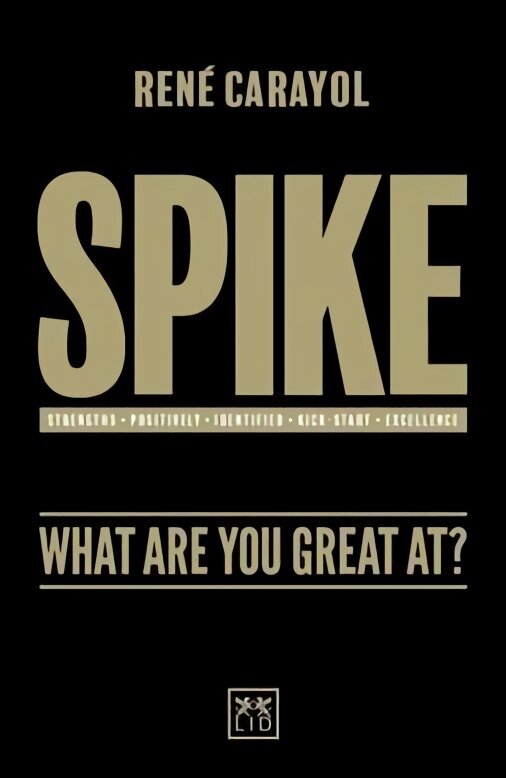 Spike: What are You Great at? цена и информация | Majandusalased raamatud | kaup24.ee