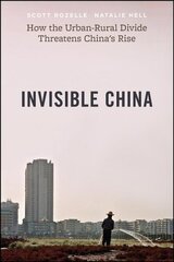 Invisible China: How the Urban-Rural Divide Threatens China's Rise цена и информация | Книги по экономике | kaup24.ee