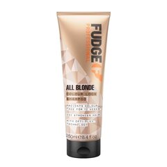 Šampoon blondidele juustele Fudge All Blonde Color Boost Shampoo, 250ml цена и информация | Шампуни | kaup24.ee