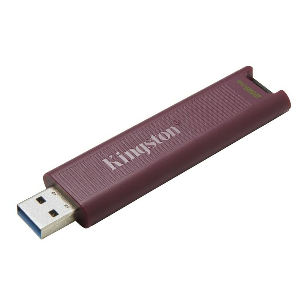 USB pulk USB-pulk Kingston DTMAXA/256GB 256 GB hind | kaup24.ee