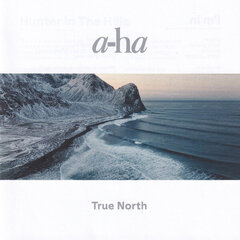 CD A-HA "True North" hind ja info | Vinüülplaadid, CD, DVD | kaup24.ee