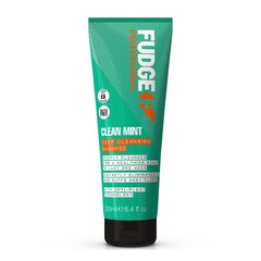 Sügavpuhastav juuksešampoon Fudge Clean Mint Deep Cleansing Shampoo, 250 ml hind ja info | Šampoonid | kaup24.ee