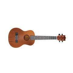 Aiersi Ukulele komplekt SU-026B цена и информация | Гитары | kaup24.ee