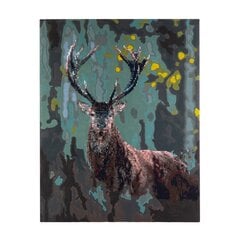 Maalimine numbrite järgi Hirved, 40x50cm hind ja info | Maalid numbri järgi | kaup24.ee