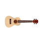 Aiersi Ukulele komplekt SU-034BG hind ja info | Kitarrid | kaup24.ee