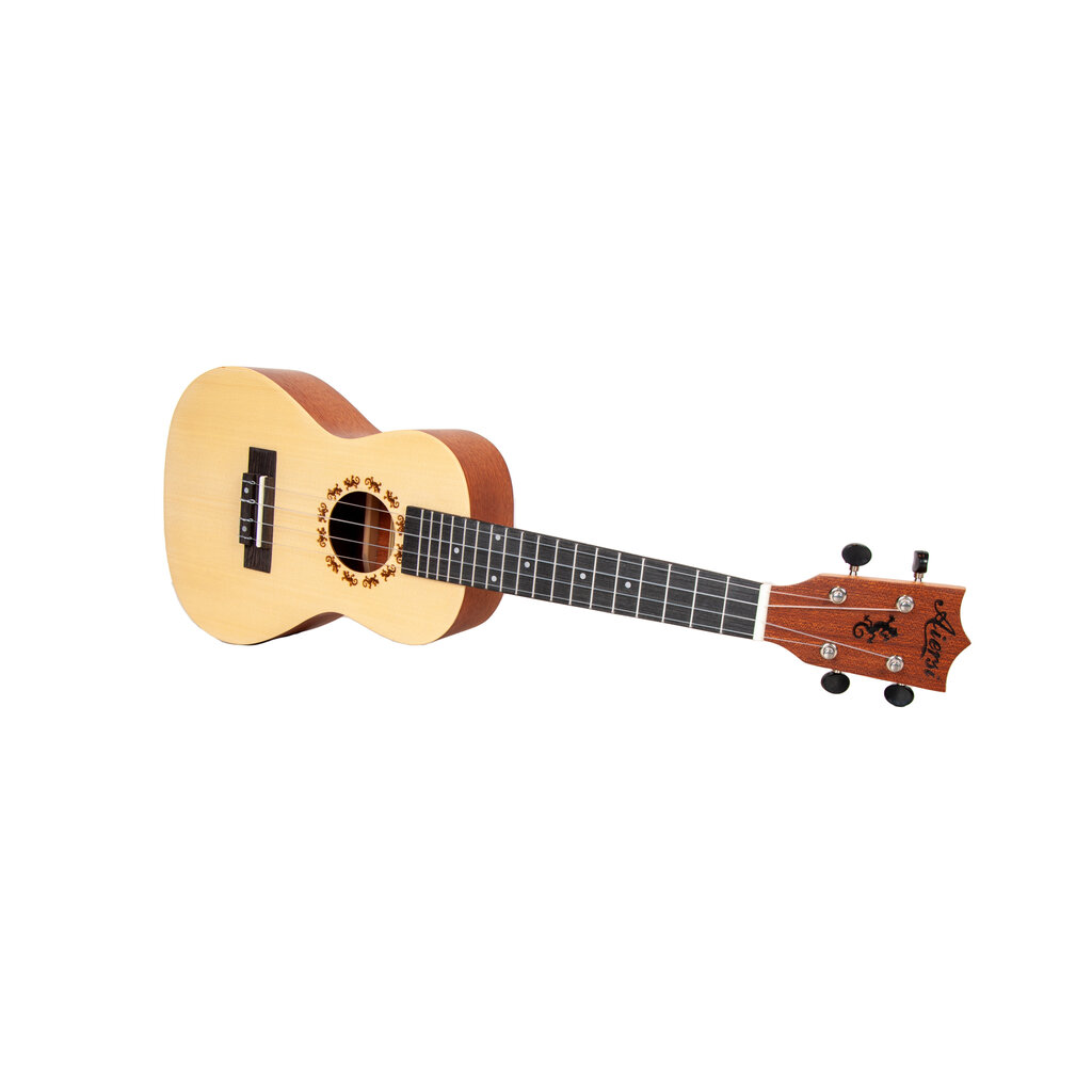 Aiersi Ukulele komplekt SU-034BG hind ja info | Kitarrid | kaup24.ee