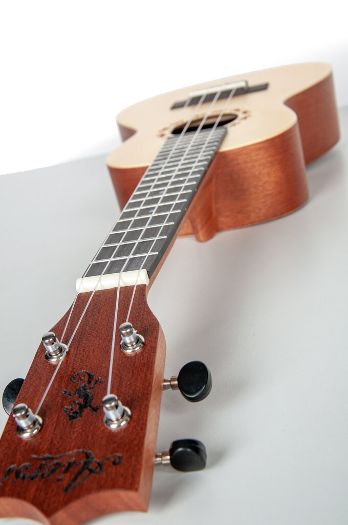 Aiersi Ukulele komplekt SU-034BG hind ja info | Kitarrid | kaup24.ee