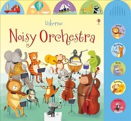 Noisy Orchestra цена и информация | Книги для малышей | kaup24.ee