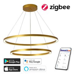 LED-lamp 60+80cm, 93W (zigbee) цена и информация | Потолочные светильники | kaup24.ee