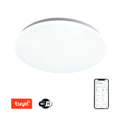 LED lamp 45cm, 36W цена и информация | Потолочные светильники | kaup24.ee