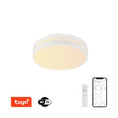 LED RGB потолочный светильник круглый 40 см, 24 Вт цена и информация | Потолочные светильники | kaup24.ee