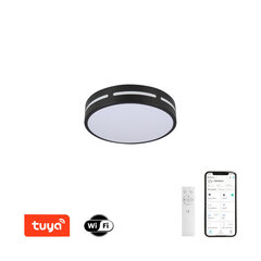 LED RGB потолочный светильник круглый 30 см, 24 Вт цена и информация | Потолочные светильники | kaup24.ee