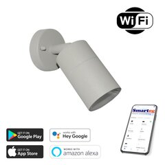 Nutikas seinalamp (Wi-Fi) цена и информация | Настенные светильники | kaup24.ee