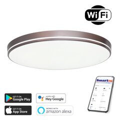Nutikas lamp 40cm 20w kohv (Wi-Fi) цена и информация | Потолочные светильники | kaup24.ee