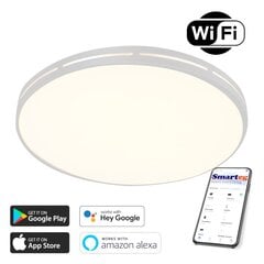 Nutikas lamp 42cm 20w valge (Wi-Fi) цена и информация | Потолочные светильники | kaup24.ee
