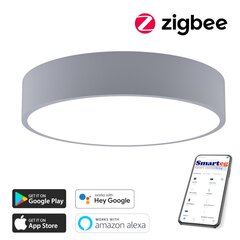 Nutikas kärglamp 80cm 65W (Zigbee) цена и информация | Потолочные светильники | kaup24.ee