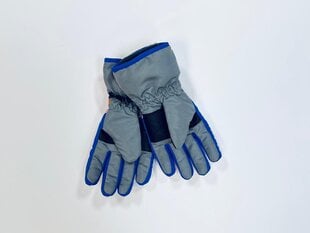Женские перчатки цена и информация | Женские перчатки | kaup24.ee