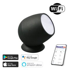 LED RGB dekoratiivne valgustus (Wi-Fi) цена и информация | Настольные лампы | kaup24.ee