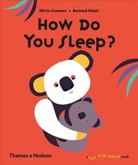 How Do You Sleep? цена и информация | Книги для малышей | kaup24.ee