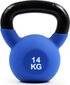 Smj Sport Weight SMJ sport 14kg HS-TNK-000016429 hind ja info | Topispallid | kaup24.ee