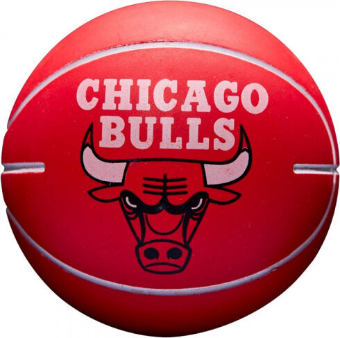 Wilson NBA Dribbler Chicago Bulls Mini Ball WTB1100PDQCHI hind ja info | Korvpallid | kaup24.ee