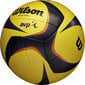 Wilson Volleyball Wilson Avp Arx Game Volleyball WTH00010XB цена и информация | Võrkpalli pallid | kaup24.ee