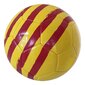 Jalgpalli pall Fc Barcelona Catalunya r. 5 цена и информация | Jalgpalli pallid | kaup24.ee