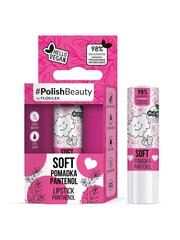 Huulepalsam Floslek #PolishBeauty Lipstick Panthenol, 4,1g hind ja info | Huulepulgad, -läiked, -palsamid, vaseliin | kaup24.ee