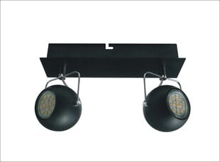 Потолочный светильник 5592-25012-Z цена и информация | Потолочные светильники | kaup24.ee