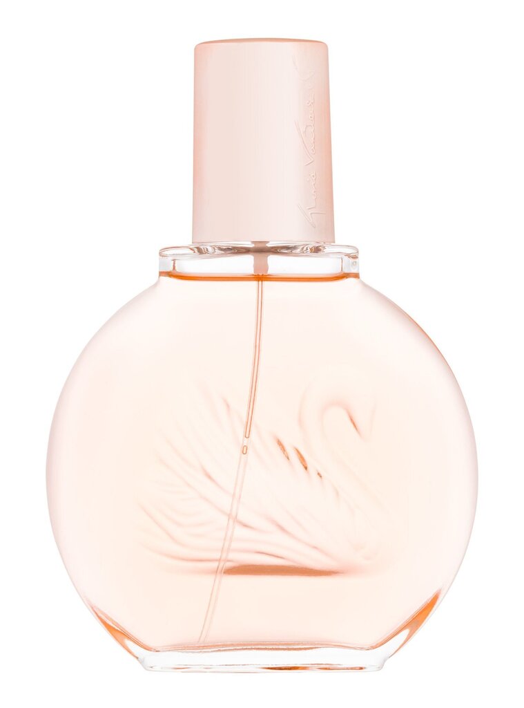 Tualettvesi naistele Gloria Vanderbilt Miss Vanderbilt EDT, 100 ml hind ja info | Naiste parfüümid | kaup24.ee