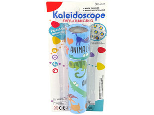 Разноцветный калейдоскоп цена и информация | Развивающие игрушки и игры | kaup24.ee
