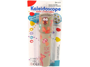 Разноцветный калейдоскоп цена и информация | Развивающие игрушки и игры | kaup24.ee
