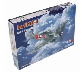 Hobby Boss Plastist mudel Fw190A-8 hind ja info | Mudelautode kollektsioneerimine | kaup24.ee