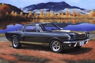 Revell Пластиковая модель Shelby Mustang GT 350 H цена и информация | Склеиваемые модели | kaup24.ee