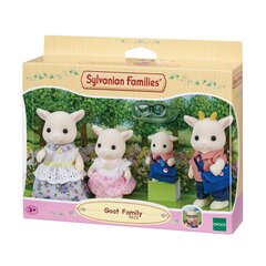 Семья козликов Sylvanian Families цена и информация | MUST Металлическая бутылочка с Ярким рисунком (без BPA) (500ml) для мальчиков от 3+ лет Серая с Машинкой | kaup24.ee