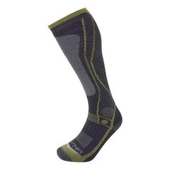 Lorpen T3HTO T3 Heavy Trekker Socks - серый цена и информация | Мужские носки | kaup24.ee