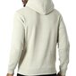 Hooded sweatshirt champion meestele beige hind ja info | Meeste pusad | kaup24.ee