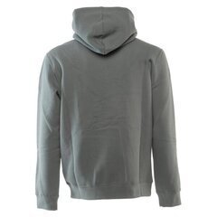 HOODED SWEATSHIRT CHAMPION LEGACY  for Men's Grey 218287ES017 218287ES017 цена и информация | Мужские толстовки | kaup24.ee