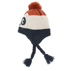Cool Club шапка для мальчиков, CAB2531432 цена и информация | Зимняя одежда для детей | kaup24.ee